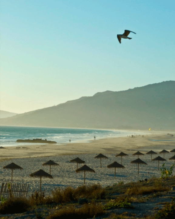 playa de tarifa