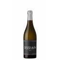 Ossian  Magnum 2020