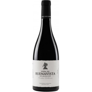 Viña de Buenavista 2018