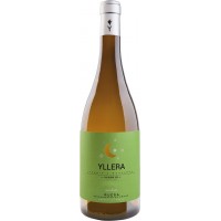 Yllera Verdejo Vendimia Nocturna 2022