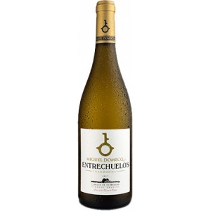 Entrechuelos Chardonnay 2020