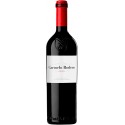 Carmelo Rodero Crianza Magnum 2020