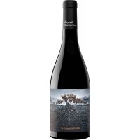 La Garnacha Perdida del Pirineo 2019