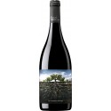 La Garnacha Salvaje de Moncayo 2020