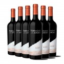 Terrazas de los Andes Malbec 2021 5 botellas + 1 Gratis