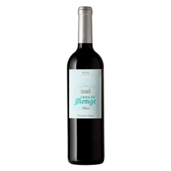 Cueva del Monge Blanco 2019