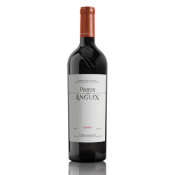 Pagos de Anguix Costalara Magnum 2021