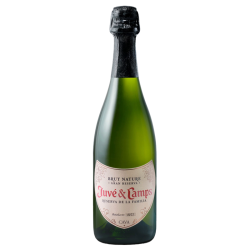 Juvé & Camps Reserva de la Familia Magnum 2019