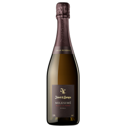 Juvé & Camps Milesimé Blanc de Noirs 2020