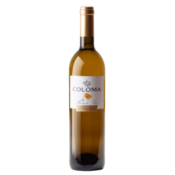 Comprar vino Coloma Muscat |La Bodega de Santa MArina