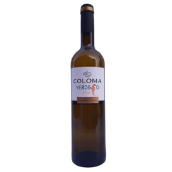 Coloma Verdejo 2024