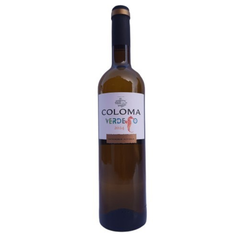Coloma Verdejo 2024