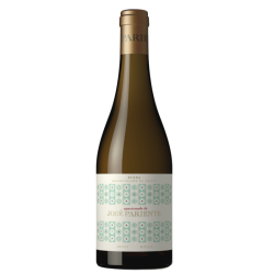 Apasionado de Jose Pariente 2022