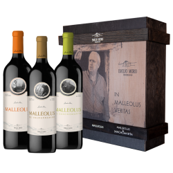 Comprar Estuche In Malleolus Veritas | La Bodega de Santa Marina