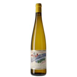 Mountain Blanco 2022