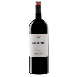 Comprar vino Carramimbre Crianza Magnum 2017| La Bodega de Santa Marina