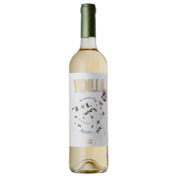 Vidilla Verdejo 2024