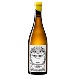 Virgen del Galir Regueirón 2021