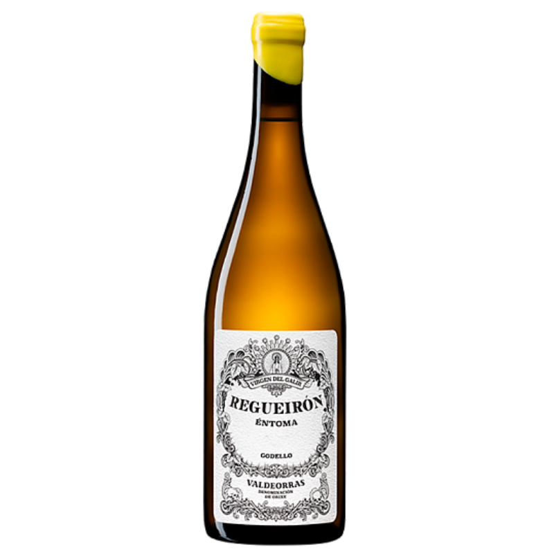 Virgen del Galir Regueirón 2021