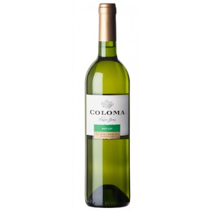 Coloma Muscat Seco 2022