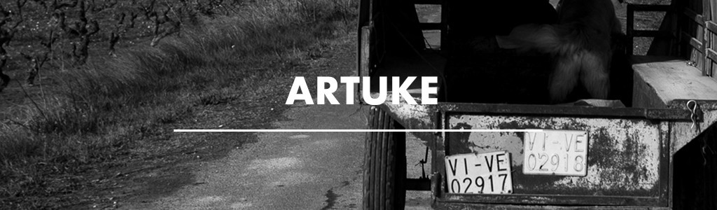 Artuke