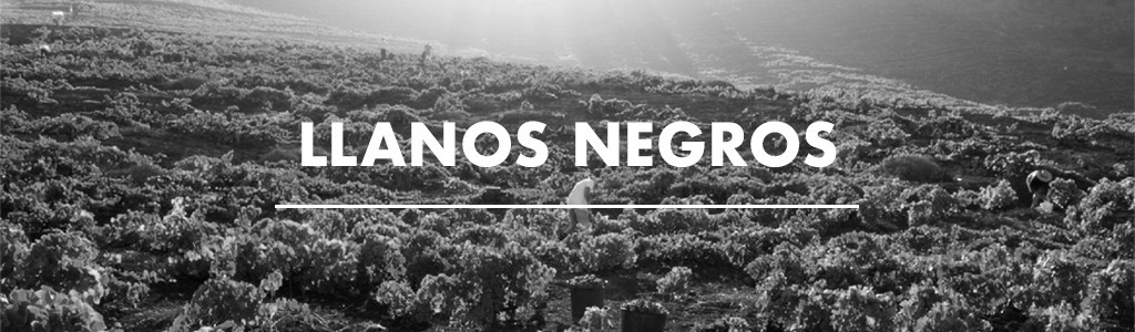Llanos Negros