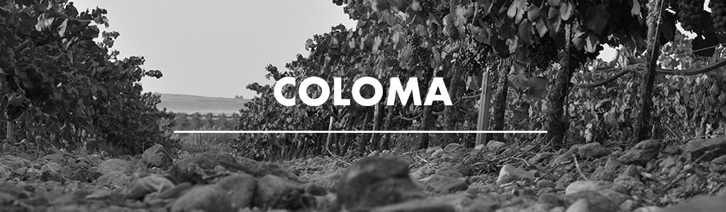 Coloma