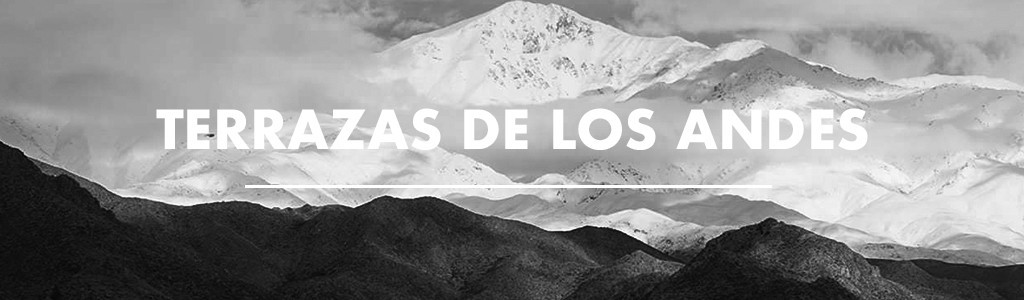 Terrazas de los Andes