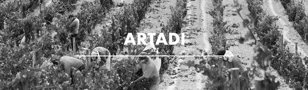 Artadi