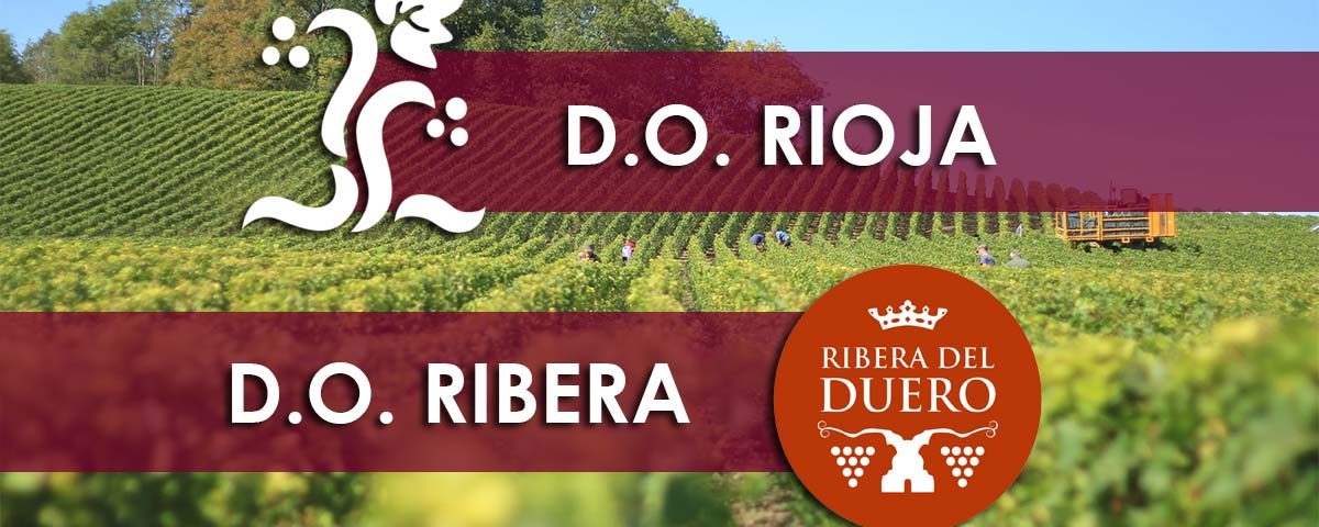 Rioja y Ribera del Duero, las dos mayores D.O. de España