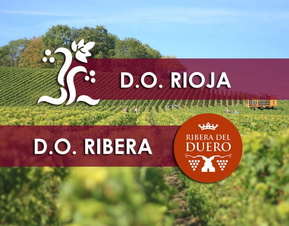 Rioja y Ribera del Duero, las dos mayores D.O. de España